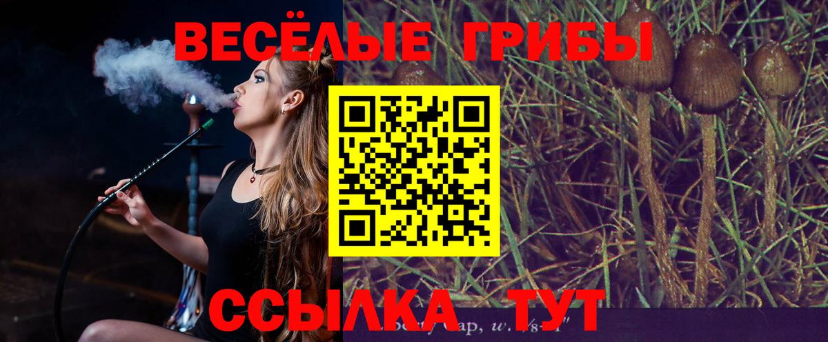 Псилоцибиновые грибы Magic Shrooms  Псилоцибиновые грибы прущие грибы  Вход с VPN  Выкса 
