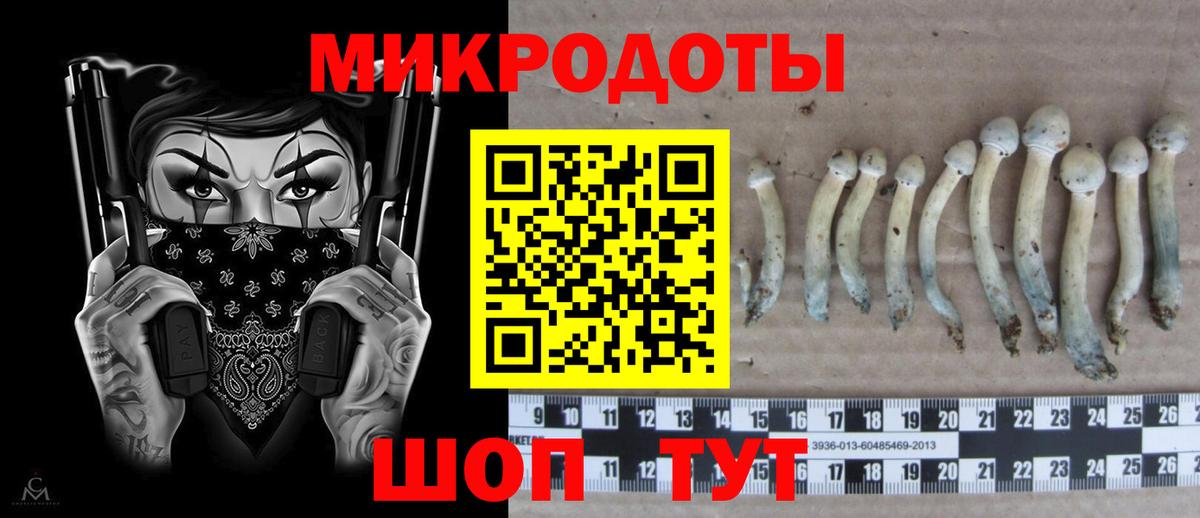 Галлюциногенные грибы MAGIC MUSHROOMS Выкса