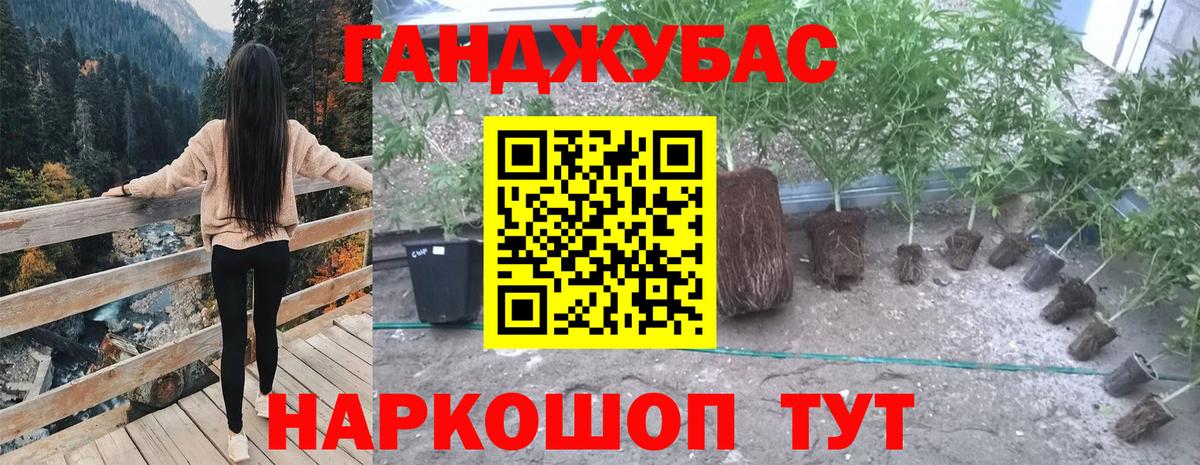 Выкса  Шишки марихуана марихуана  Шишки марихуана гибрид  Вход с VPN 